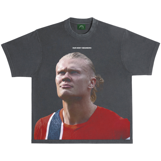 HAALAND WC 26 VINTAGE BLACK TEE