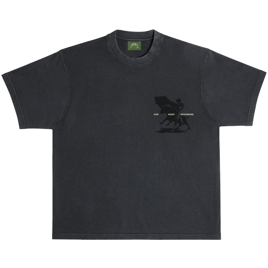 Camiseta España Matador