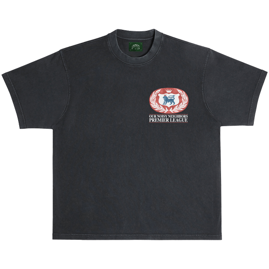 CAMISETA DE LA PREMIER LEAGUE